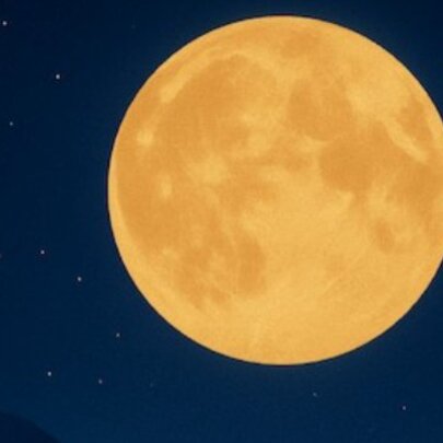 Songs Under Moonlight