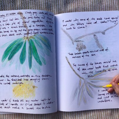 Immerse in Nature: Nature Journaling