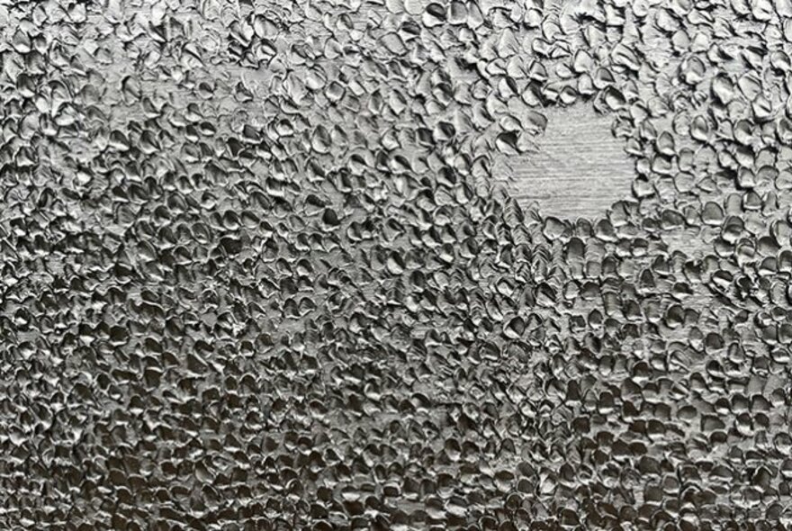 A close up of scales on an object in grey tones.