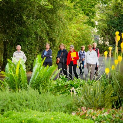 Free Guided Walk