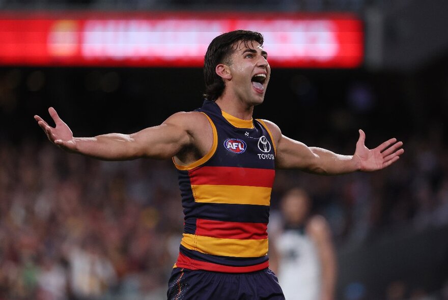 An Adelaide footbacll player with his arms outstretched, with a blurred football crowd behind him.