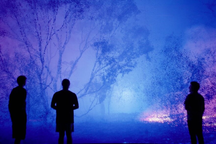 Three silhouettes of people standing in a blue glow watching a bushfire.