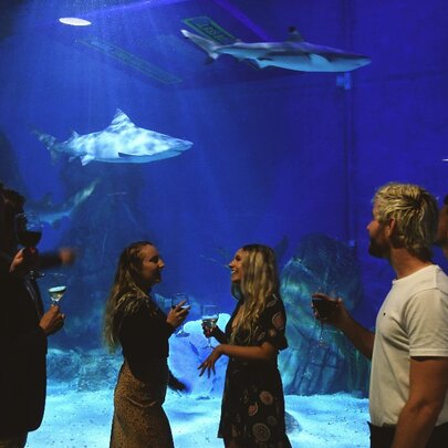 New Year's Eve at SEA LIFE Melbourne Aquarium
