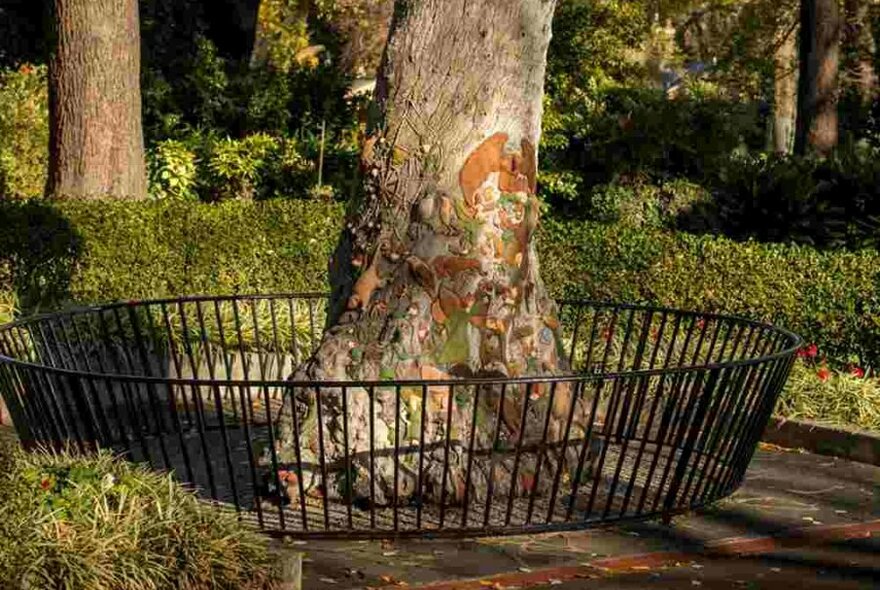 A tree stump in a large garden