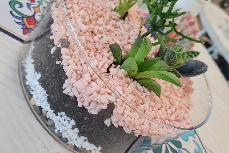 An open terrarium, with a few small green succulent plants in the centre, surrounded by small pink pebbles.