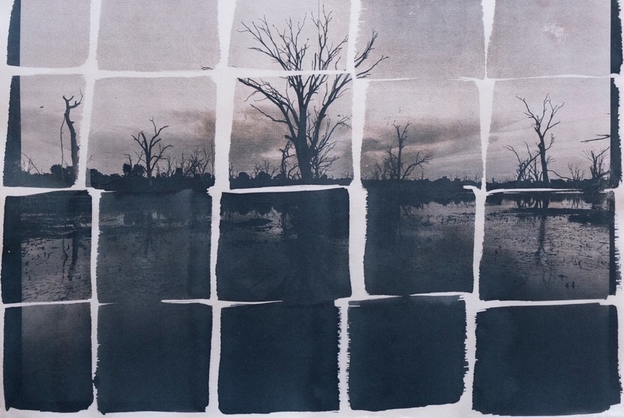 Grayscale photograph of a landscape with bare trees, divided into a grid of uneven square panes by thick white lines, resembling a window or mosaic.