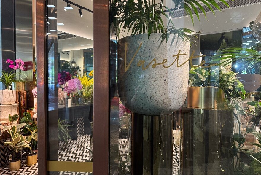 Floristry shop display with a palm in a concrete urn, counter topped with orchids in the background.