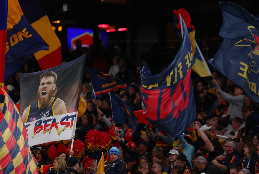 A football crowd and many flags and banners. 