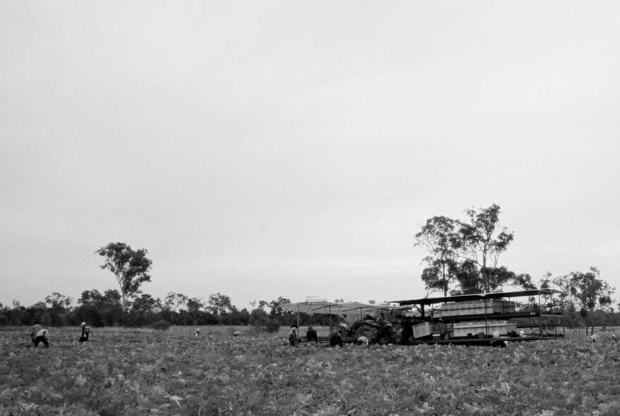 Film still of a an agricultural field and machinery under a large sky.