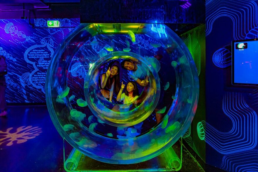 Melbourne's best rainy day activities for kids