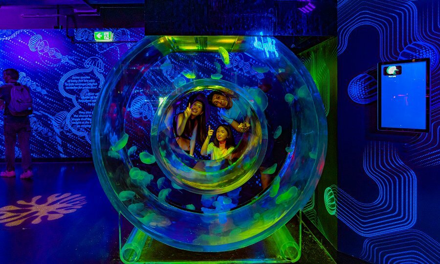 A family looking at a circular tank filled with jellyfish in an aquarium.