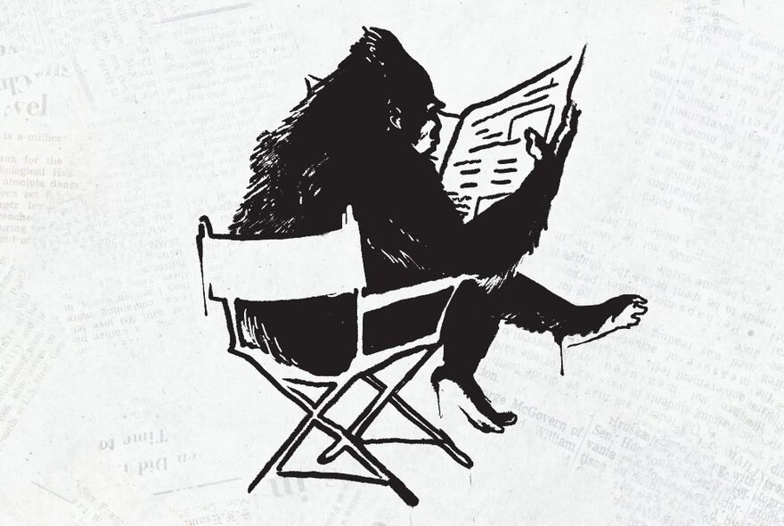 Black and white ink drawing of a gorilla seated in a director's chair and reading a newspaper.