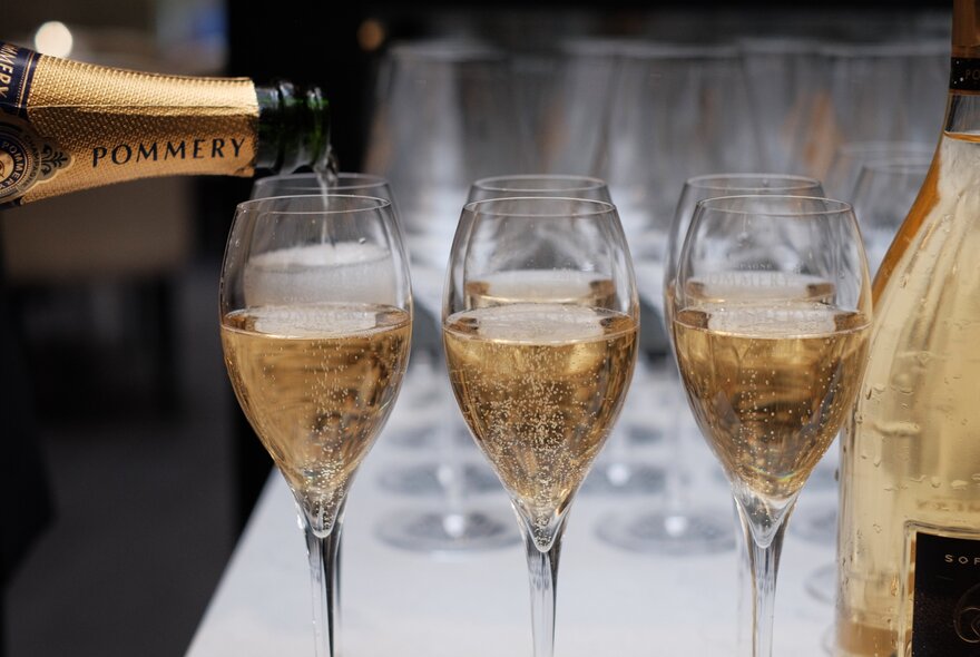 A pouring of Pommery champagne, into six champagne glasses. 