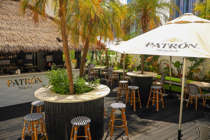 The Palmz Rooftop bar at the Carlton Club, a tropical-themed rooftop bar with palm trees, lush greenery, tables and chairs, and shade umbrellas. 