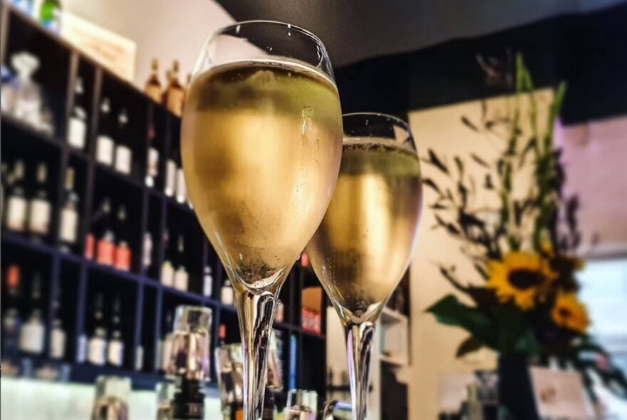 Two glasses of white wine with shelves of bottles in the background.