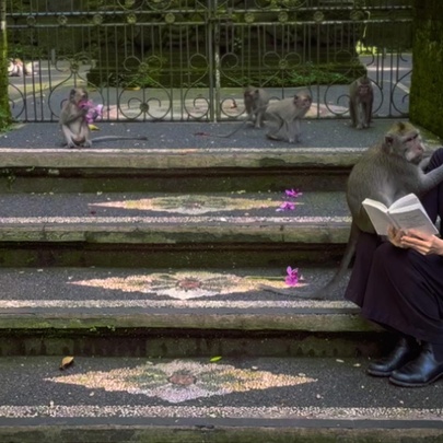 A woman sitting on some outdoor steps reading with a monkey beside her. 