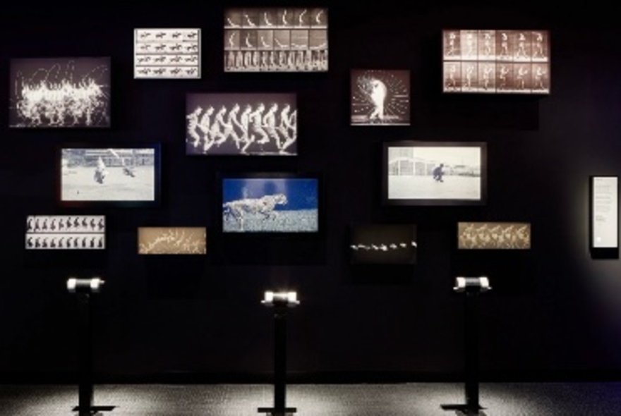 A wall of digital screens, each displaying a different video image, with three stands in front of the wall; in a darkened room.