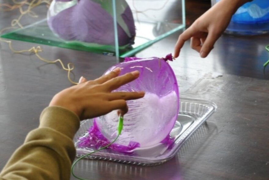 Two people touching a purple inflated balloon in an experiment setting.