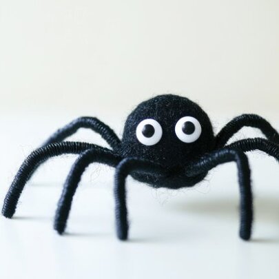 Anansi the Spider