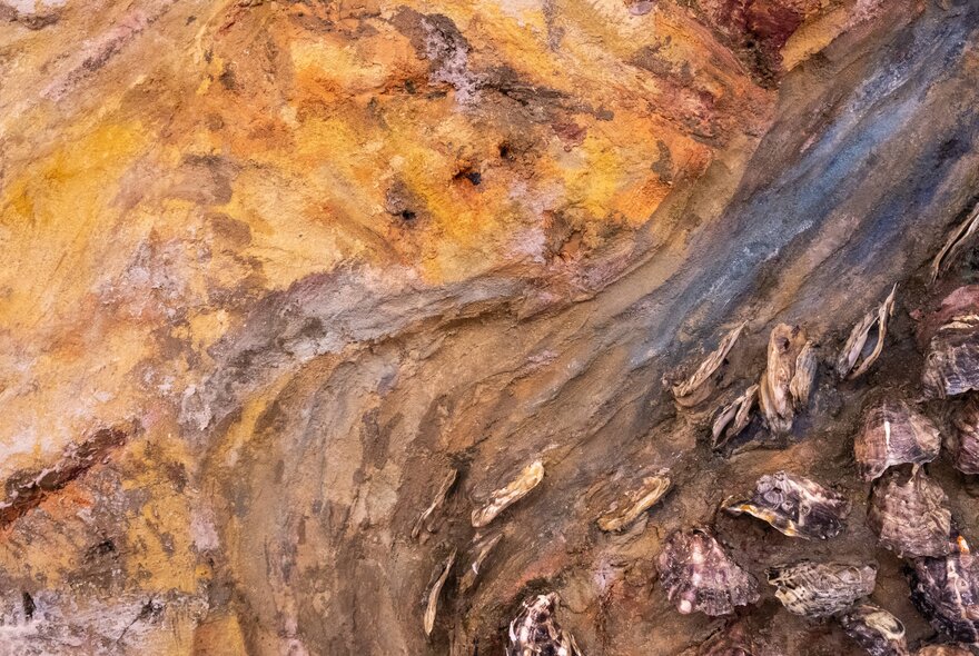 Detail of abstract artwork made from oyster shells in ochre shades.