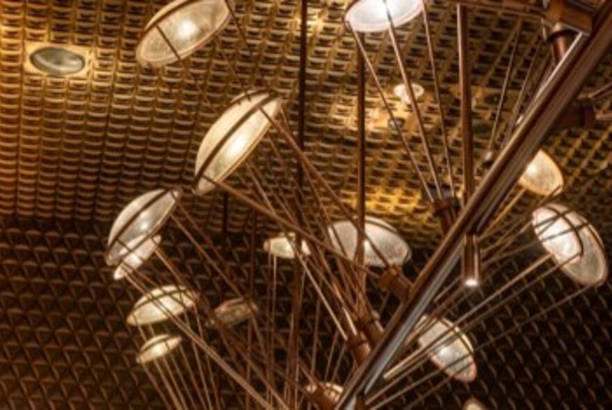 A bespoke light feature showing many glass plates attached to stems. 