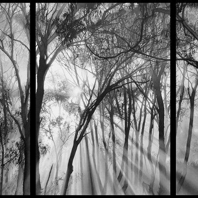 Kim Anderson: Disquiet