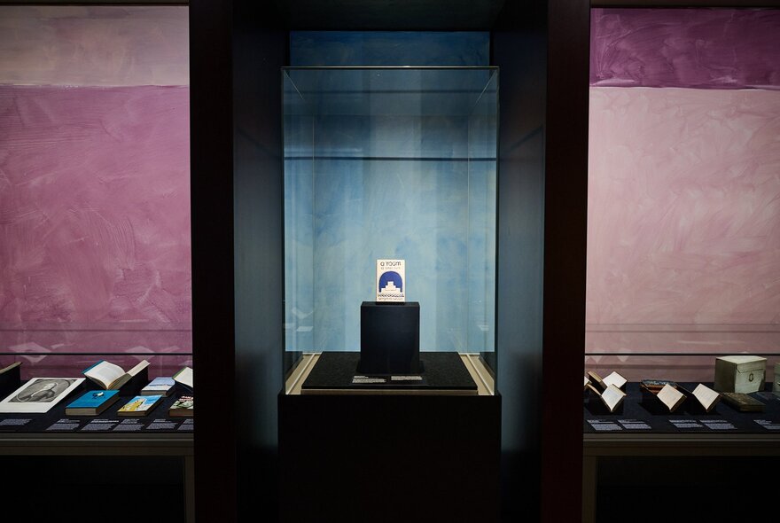 Books in display cases with pink and blue feature walls. 