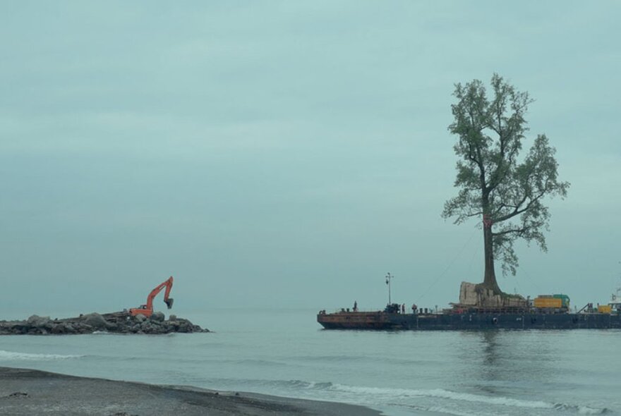 A still from the film Taming the Garden, showing a single tree on an island in water.