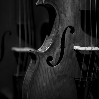 A black and white image of a close up of a cello.