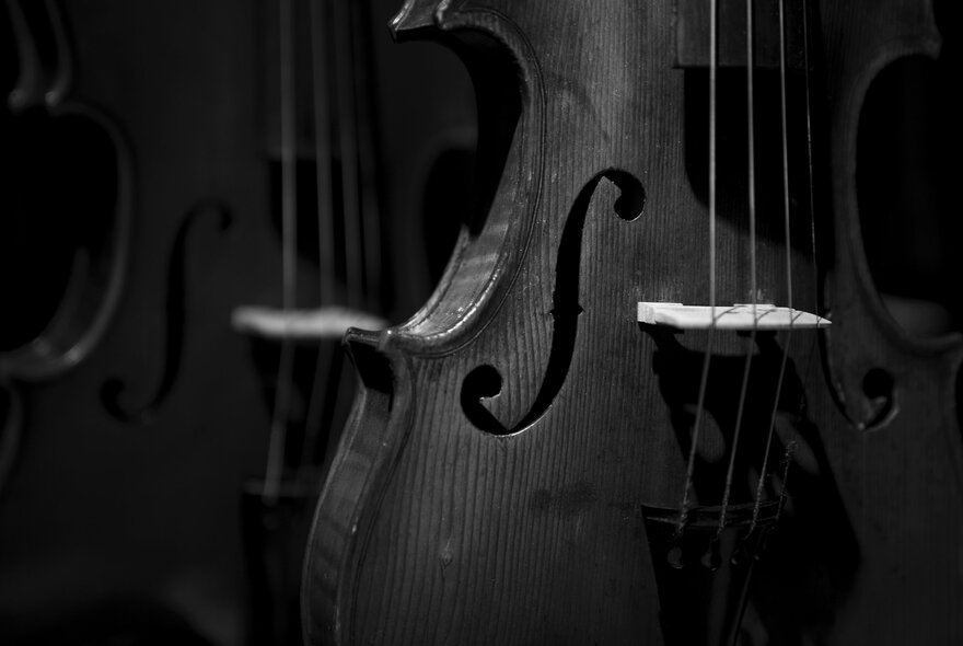 A black and white image of a close up of a cello.
