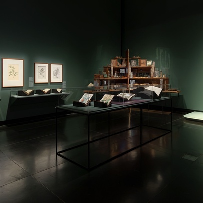 A darkened gallery space with moss green walls and wooden artefacts on display.