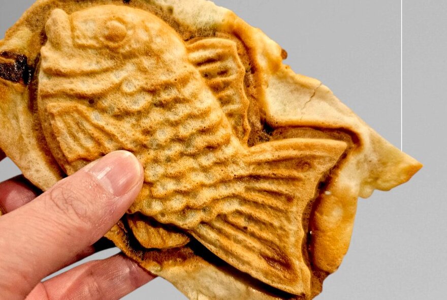 Hand holding a fish-shaped snack.