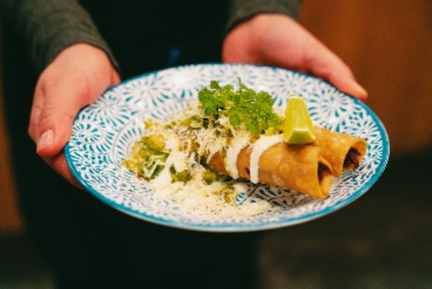 Hands holding a blue-patterned plate with two wraps drizzled with sauce and salad.