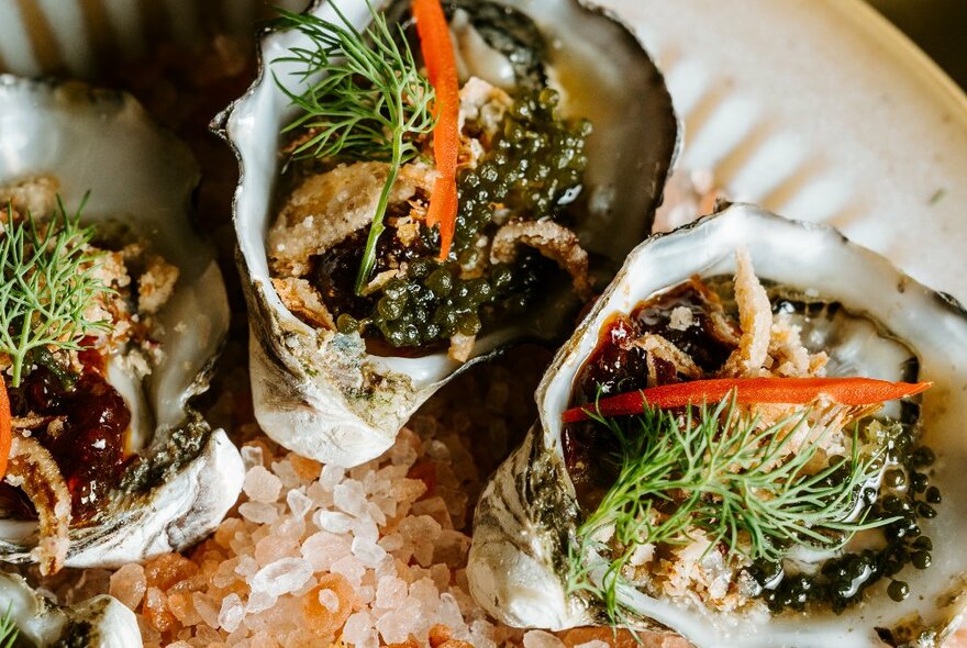 Looking down at a salt lined plate with oysters and caviar with garnishes.