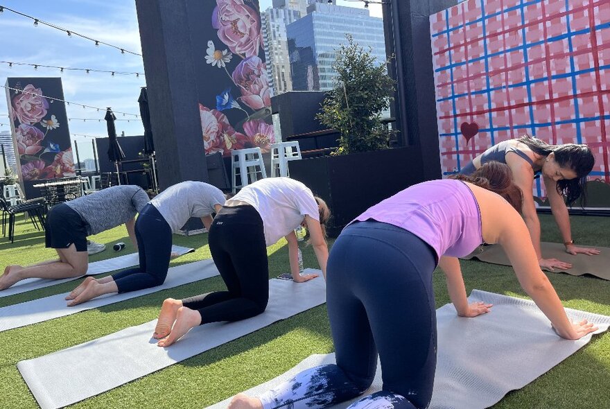 People doing yoga on mats on an outdoor rooftop.