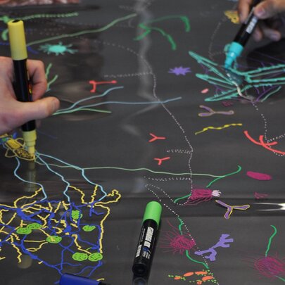 A hand drawing with a yellow marker, amongst colourful drawings of cell pathways on a black surface.