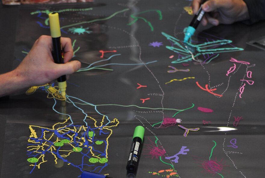 A hand drawing with a yellow marker, amongst colourful drawings of cell pathways on a black surface.