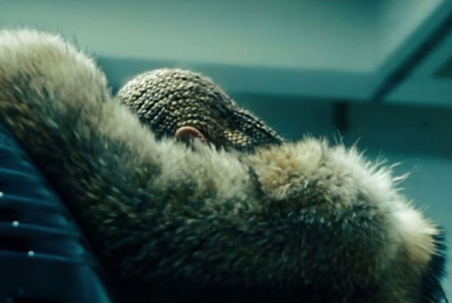 A still from Beyoncé's visual album Lemonade, depicting the singer in profile leaning against a car, wearing a fur jacket, her hair braided, her face covered.