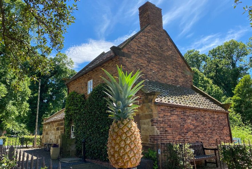 A whole pineapple with spiky fronds intact, being held up in front of the brick Cooks' cottage in a garden setting.