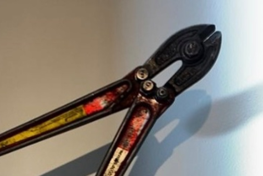 A pair of rusty pliers.