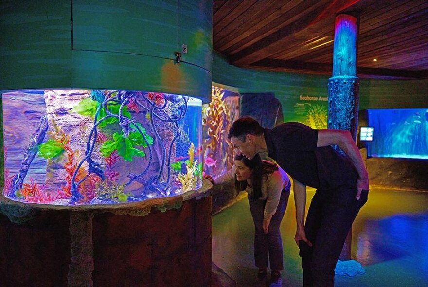 People looking at a colourful aquarium display.