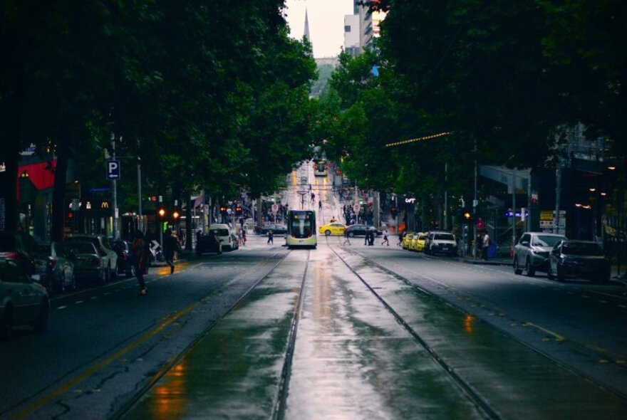 A gloomy picture looking down Bourke Street from the middle of the road, a tram visible.