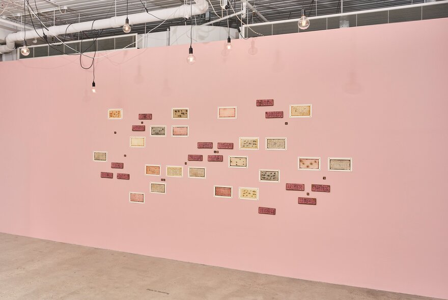 A pink gallery space with small postcard-sized pictures on the wall.