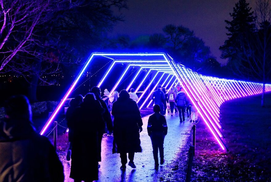 People visiting Lightscape and walking through a tunnel of lights in the dark. 