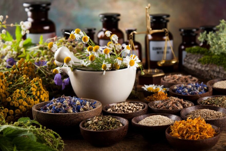 Bowls of herbal ingredients with a large bowl of camomile flowers in the centre 