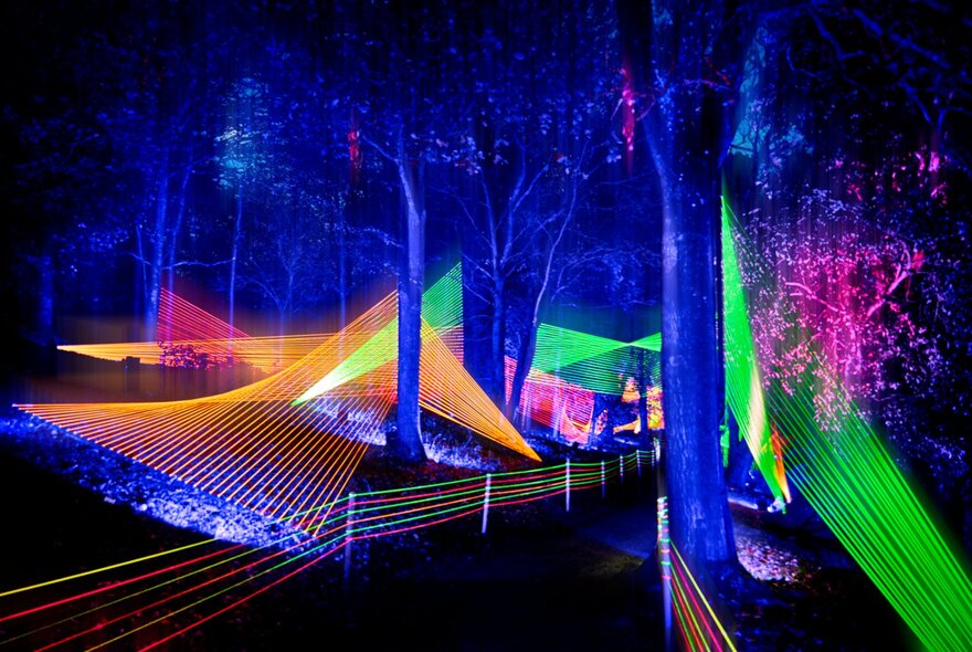 A nighttime photo of a path in a park,  illuminated by vibrant orange, green, and pink light beams and strings creating an immersive light installation; part of Lightscape at Royal Botanic Gardens.