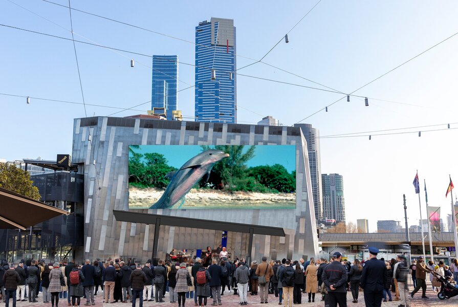 Outdoor Cinema: Feathers, Fins and Friendship