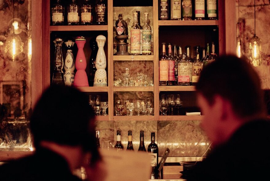 The back pf two people's heads waiting to be served at a bar, with many bottles of alcohol on the shelves behind the bar.