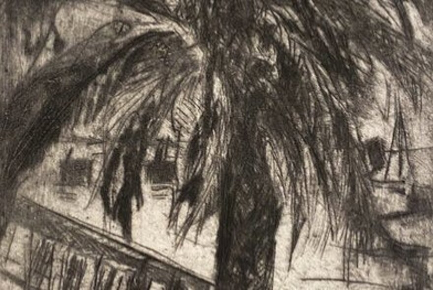 A drypoint etching in monotones depicting a palm tree.