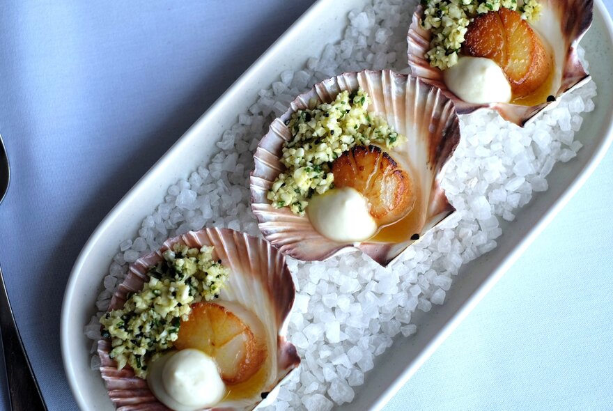 Dish of scallops in shells on a bed of salt in a white platter.